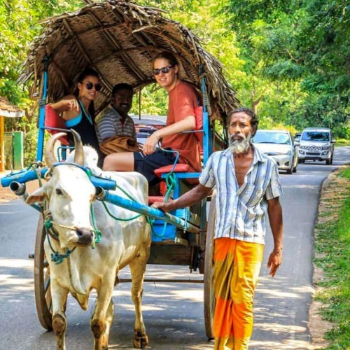 Village Tour